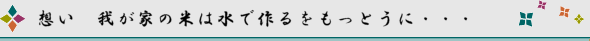 新着情報